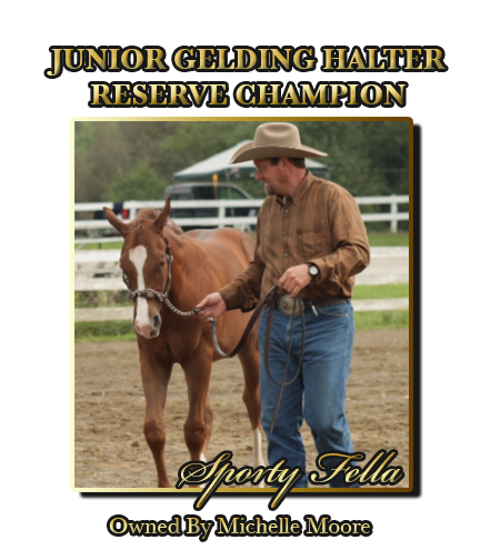 Junior Gelding Reserve Champion