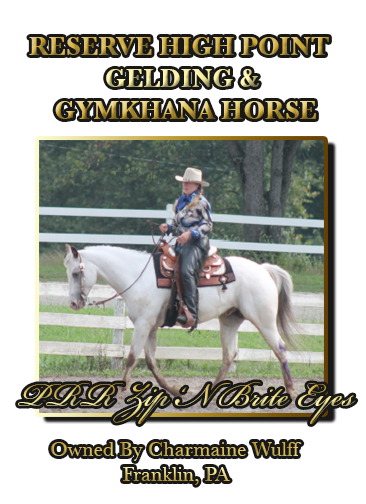 Reserve High Point Gelding & Gymkhana Horse