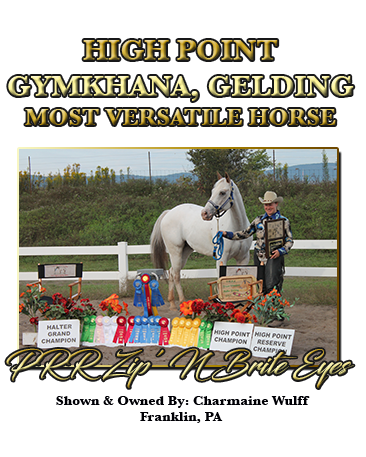 High Point Gelding & Gymkahan Horse