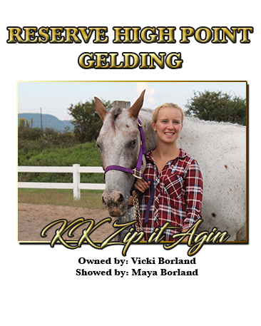 Reserve High Point Gelding & Gymkhana Horse