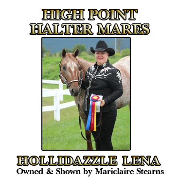 Gelding Halter Champion